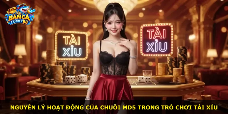 Nguyên lý hoạt động của chuỗi MD5 trong trò chơi tài xỉu